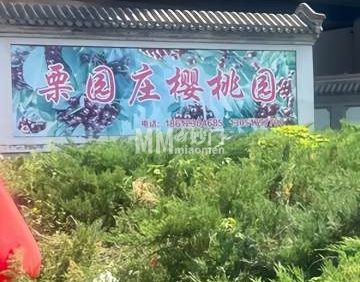 栗园庄南山樱桃采摘园