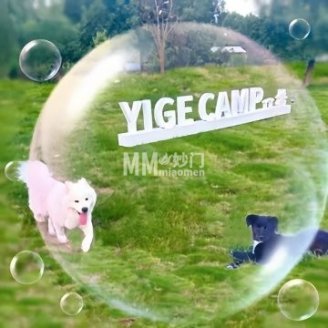 一格营地. 露营.烧烤