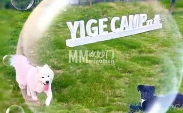 一格营地. 露营.烧烤