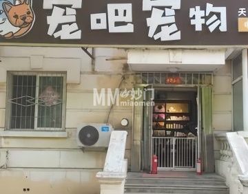 宠吧宠物（天通苑店）