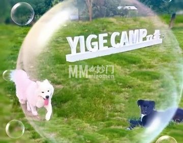 一格营地. 露营.烧烤