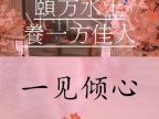 一见倾心·疗愈·养生SPA