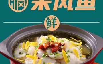 来风鱼