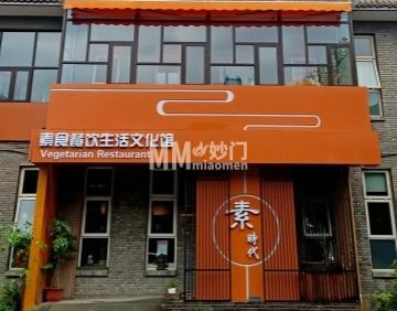 素时代