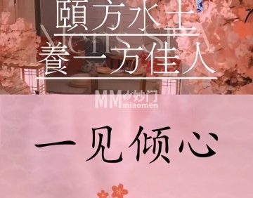 一见倾心·疗愈·养生SPA