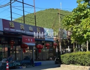 绿岗山居