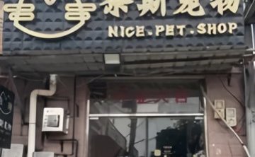 奈斯宠物