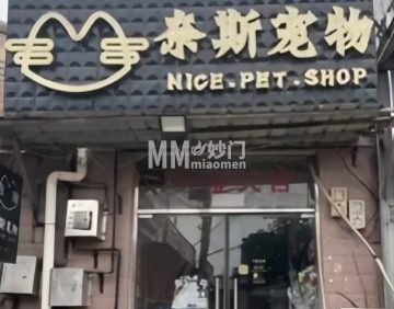 奈斯宠物
