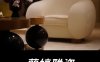 蘭婷雅姿.皮肤管理