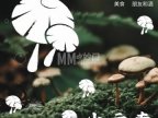 小云南（东直门店）