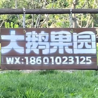 大鹅果园.烧烤.露营
