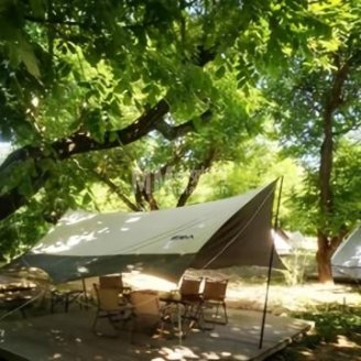 桃山森林露营地