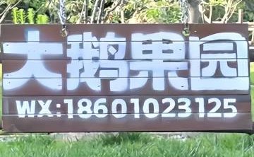 大鹅果园.烧烤.露营