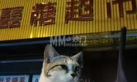 囍糖超市