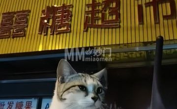 囍糖超市