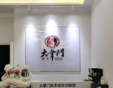 北京大掌门武术综合训练馆