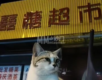 囍糖超市