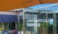 超级植物SUPER PLANTS（工作室店）