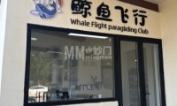 鲸鱼飞行滑翔伞飞行营地