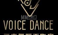 舞声工作室VoiceDanceStudio（上岸店）