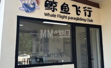 鲸鱼飞行滑翔伞飞行营地