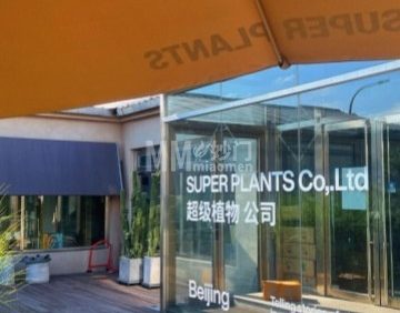 超级植物SUPER PLANTS（工作室店）