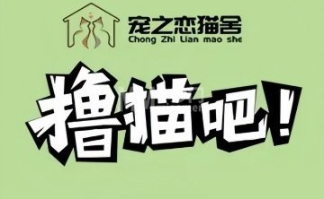 宠之恋猫舍·撸猫吧