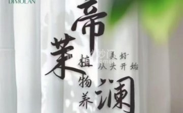 帝茉澜养发馆