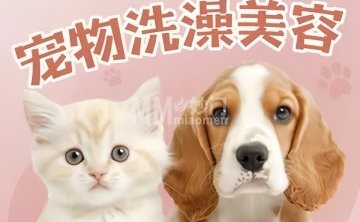 泉·宠宠物生活馆