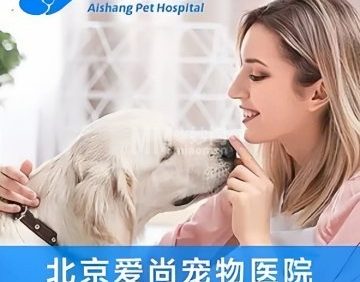 爱尚宠物医院