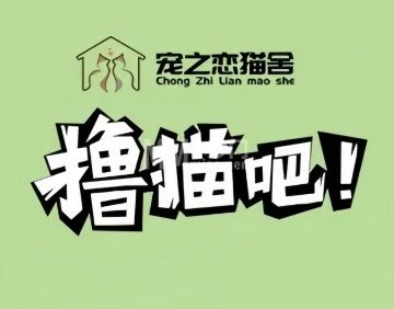 宠之恋猫舍·撸猫吧
