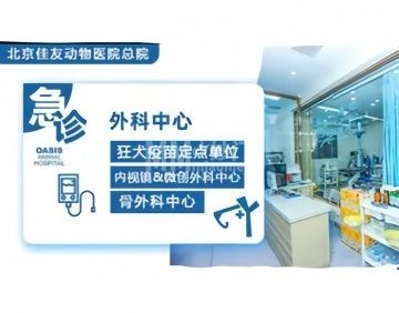 北京佳友动物医院