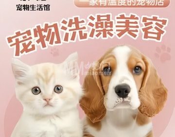 泉·宠宠物生活馆