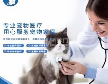 亚北动物医院