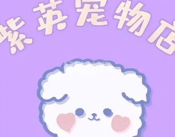 紫英宠物店