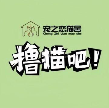 宠之恋猫舍·撸猫吧
