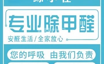 鲸小怪家政·除甲醛