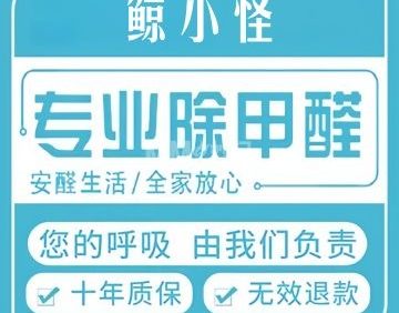鲸小怪家政·除甲醛