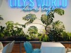 LILY’S WORLD音乐花园餐厅(天坛店)