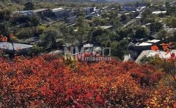 法海寺森林公园