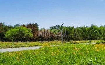 马驹桥湿地公园2期