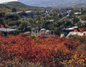 法海寺森林公园