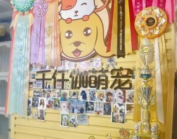 千仟伽萌宠