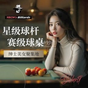 亚仕台球（东枫.曙光中心店）