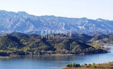 大石山森林公园