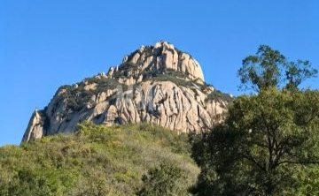 莲花山森林公园