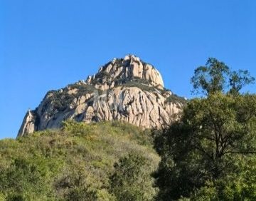 莲花山森林公园
