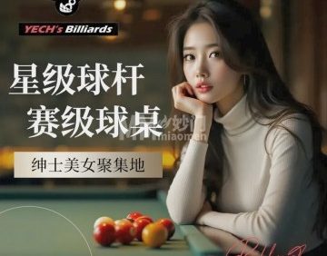 亚仕台球（东枫.曙光中心店）