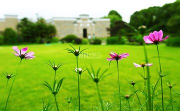 北京都市体验新玩法：从个人工作室到上门服务，一种无套路的养生松弛感