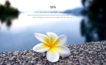 北京男士春季养生｜顺时养阳，解锁精英专属焕新方案